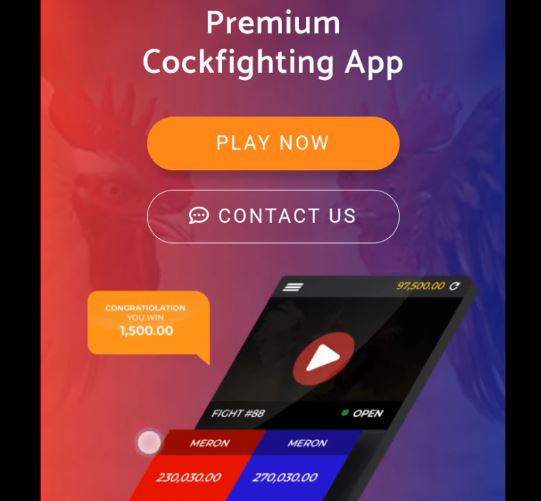 Play live cockfighting matches and win real money